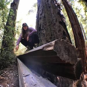 Meet your Posher, Alicia